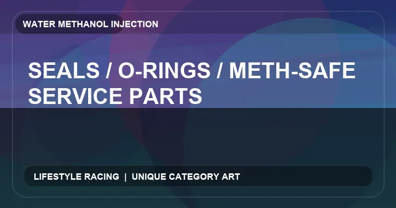 Seals / O-Rings / Meth-Safe Service Parts